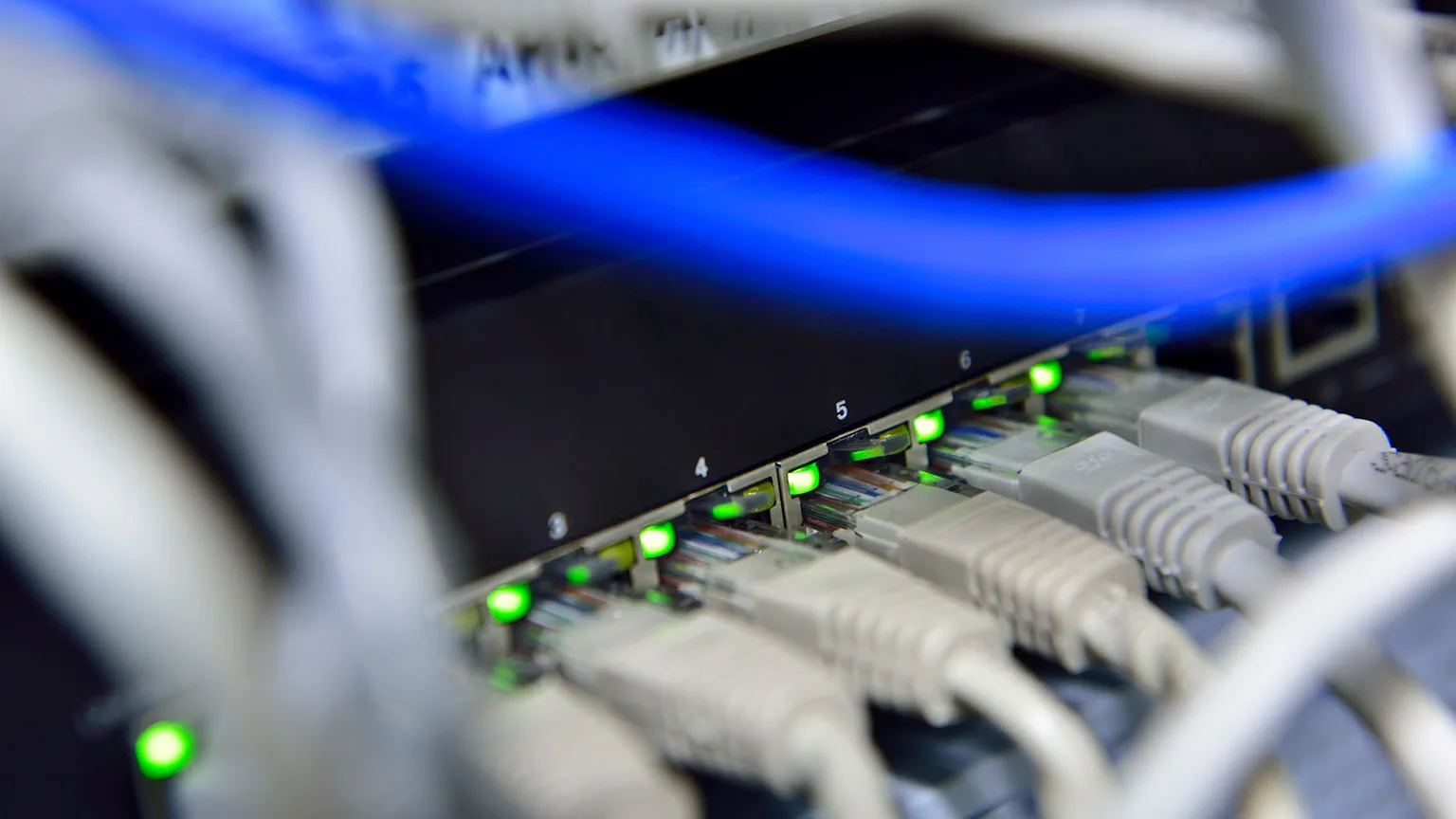 Mehrere angeschlossene Netzwerkkabel. Insbesondere sind ein blaues Kabel und grüne Leuchten zu erkennen.
